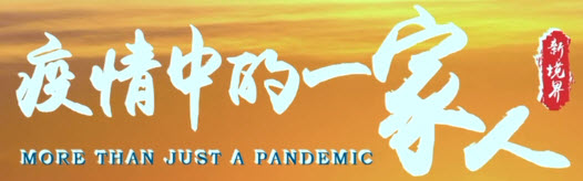 More Than Just A Pandemic